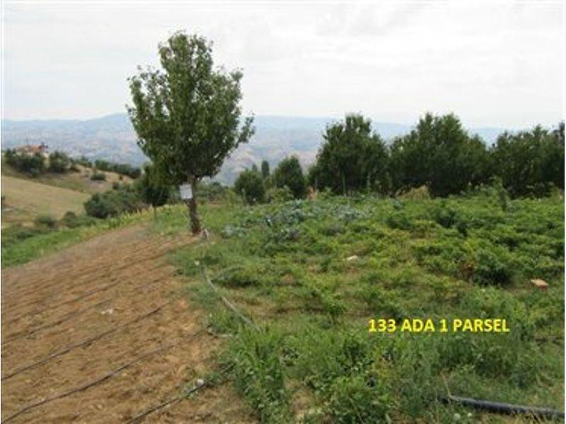 İzmir Kiraz İğdeli�de 190 m2 Kargir Ev ve 5363 m2 Tarla İzmir Kiraz