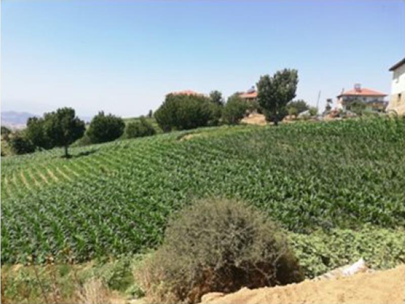İzmir Kiraz İğdeli�de 190 m2 Kargir Ev ve 5363 m2 Tarla İzmir Kiraz