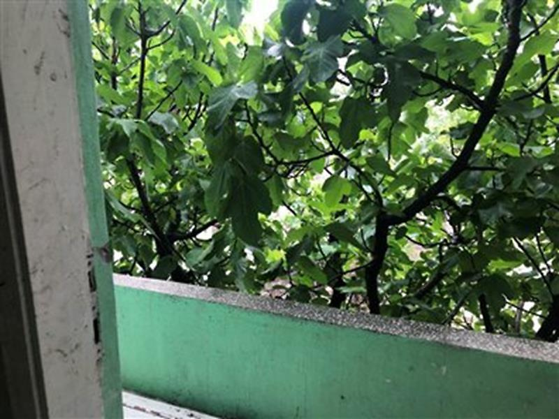 Adana Ceyhan Belediye Evleri Mahallesinde Müstakil Bina Adana Ceyhan