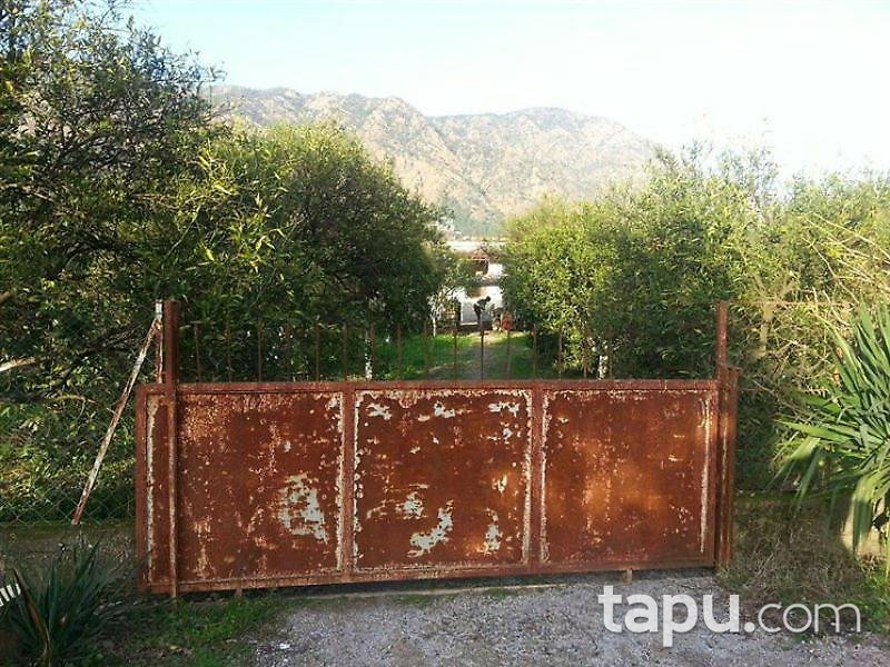 Muğla Köyceğiz'de 2 Dönüm Arsa İçinde Taş Ev