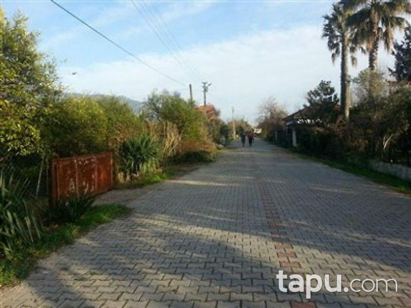 Muğla Köyceğiz'de 2 Dönüm Arsa İçinde Taş Ev