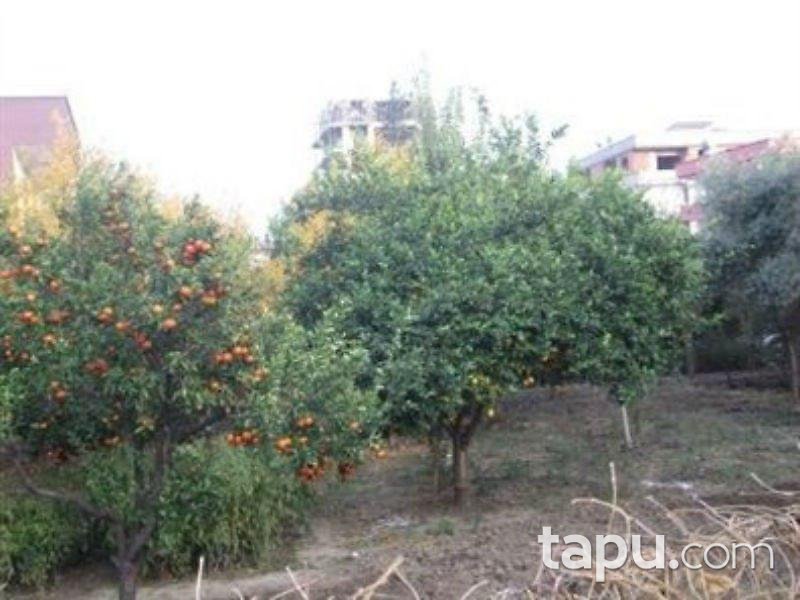 Adana İmamoğlu'da İmarlı Arsa