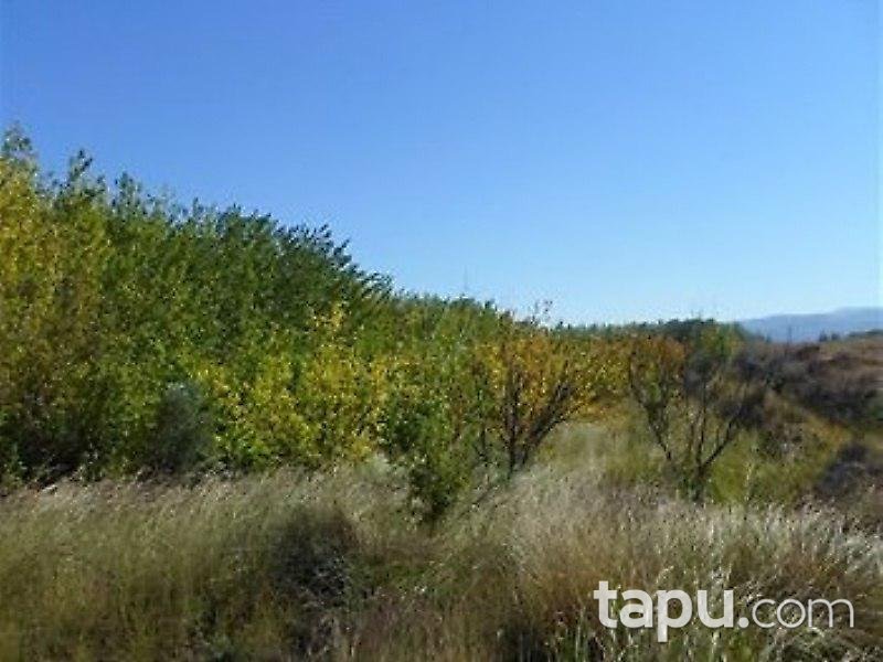 Mersin Mut İlçesi'nde Arsa