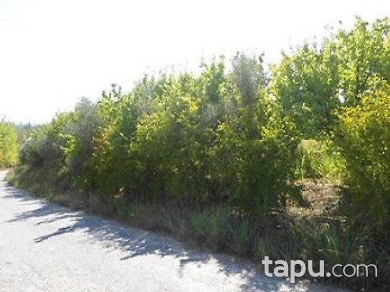 Mersin Mut İlçesi'nde Arsa