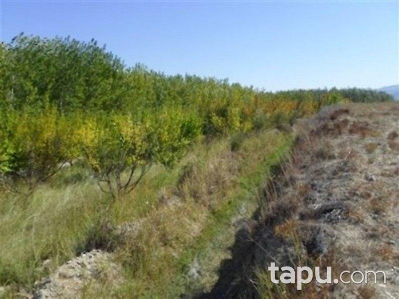 Mersin Mut İlçesi'nde Arsa