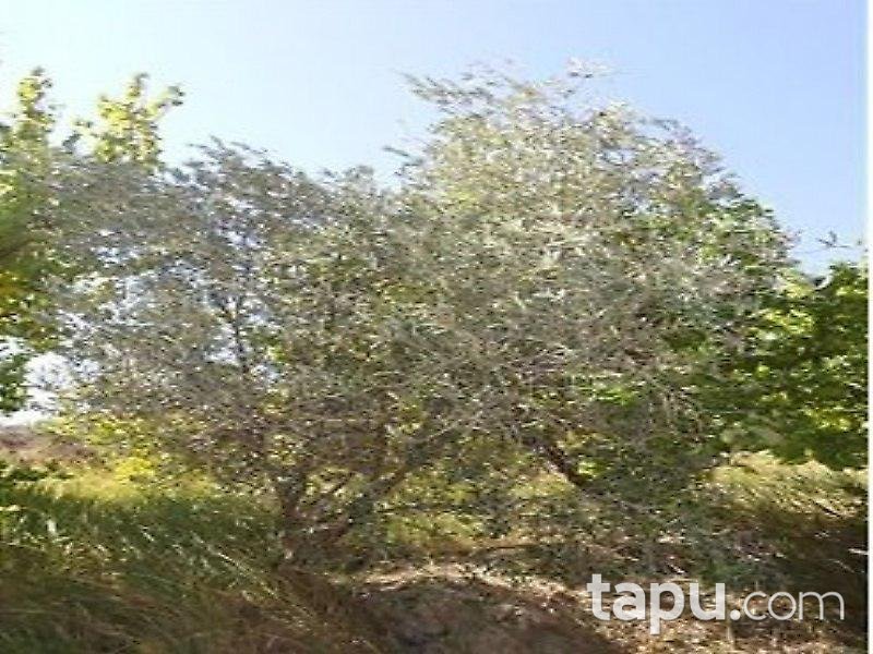 Mersin Mut İlçesi'nde Arsa