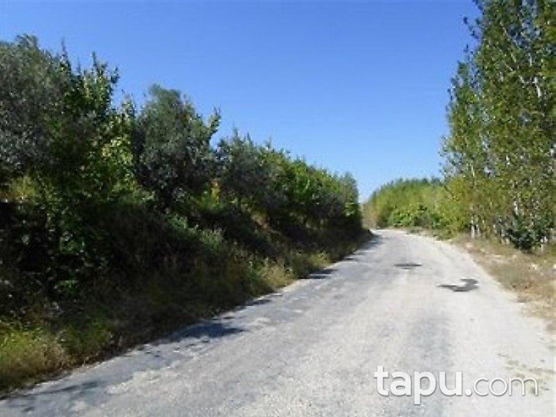 Mersin Mut İlçesi'nde Arsa