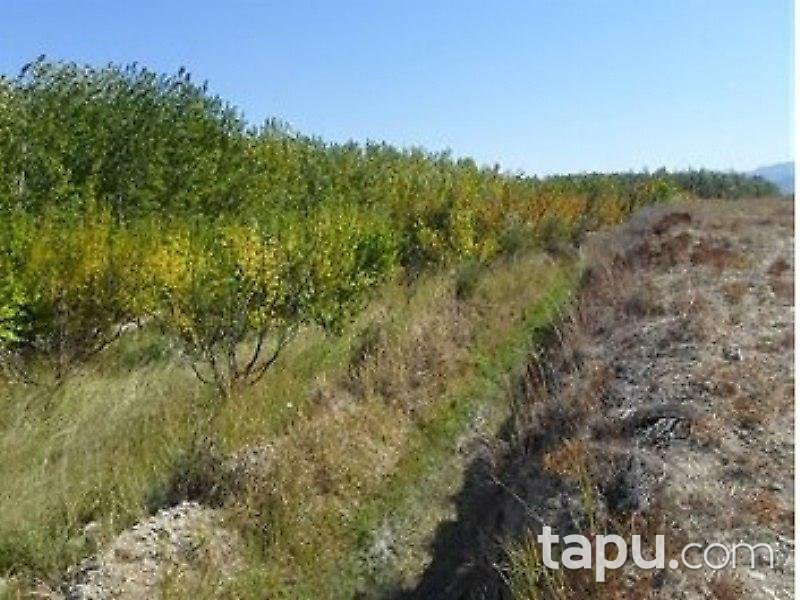 Mersin Mut İlçesi'nde Arsa