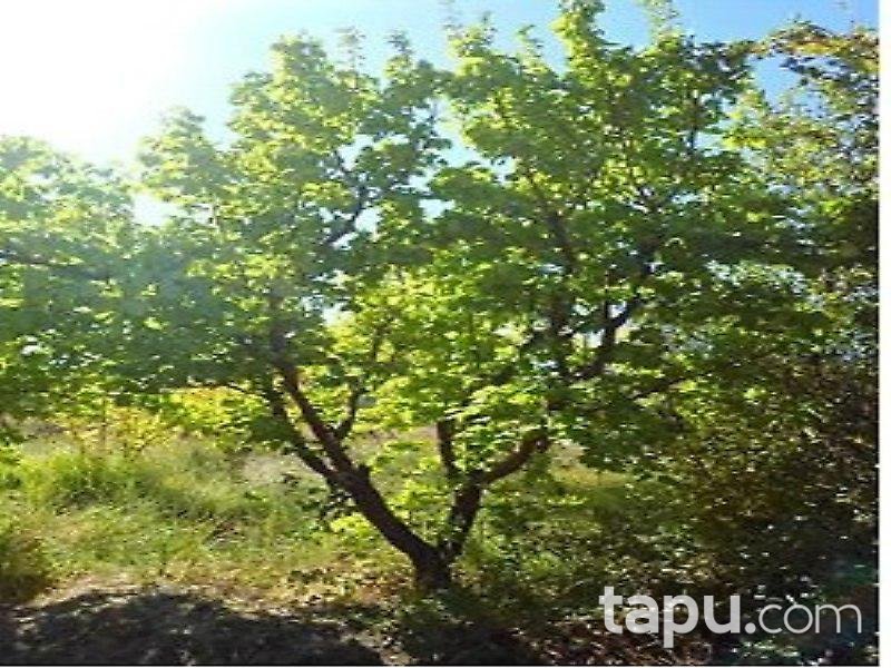 Mersin Mut İlçesi'nde Arsa