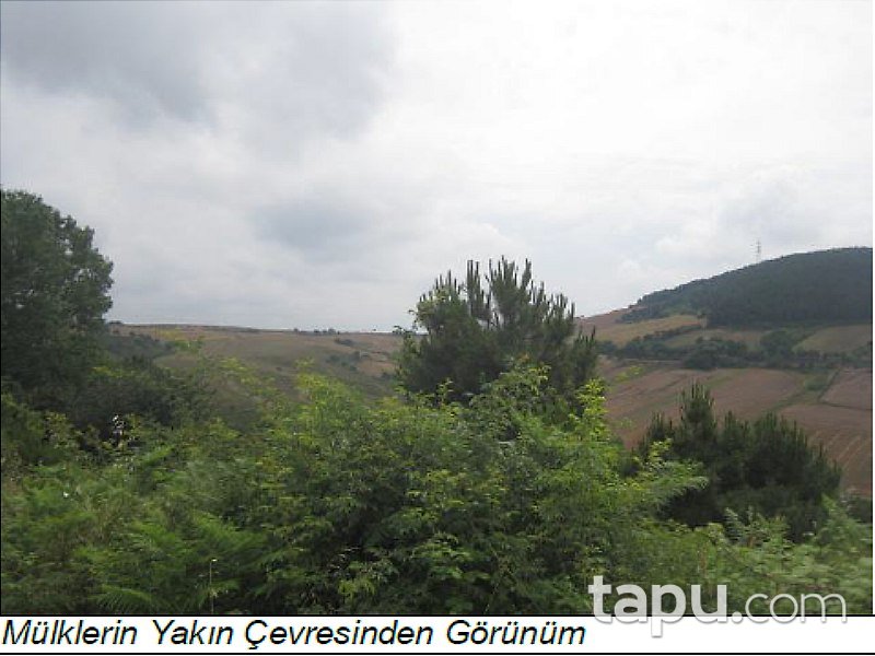 İstanbul Sancaktepe'de 132,5 Dönüm Fırsat Tarla