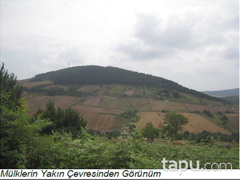 İstanbul Sancaktepe'de 132,5 Dönüm Fırsat Tarla