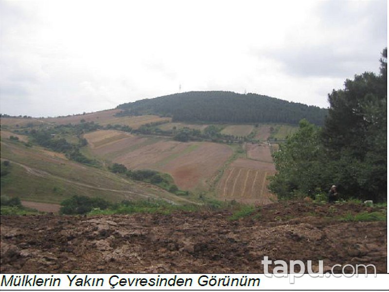 İstanbul Sancaktepe'de 132,5 Dönüm Fırsat Tarla