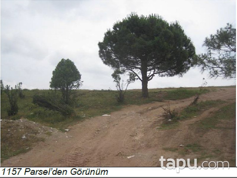 İstanbul Sancaktepe'de 132,5 Dönüm Fırsat Tarla