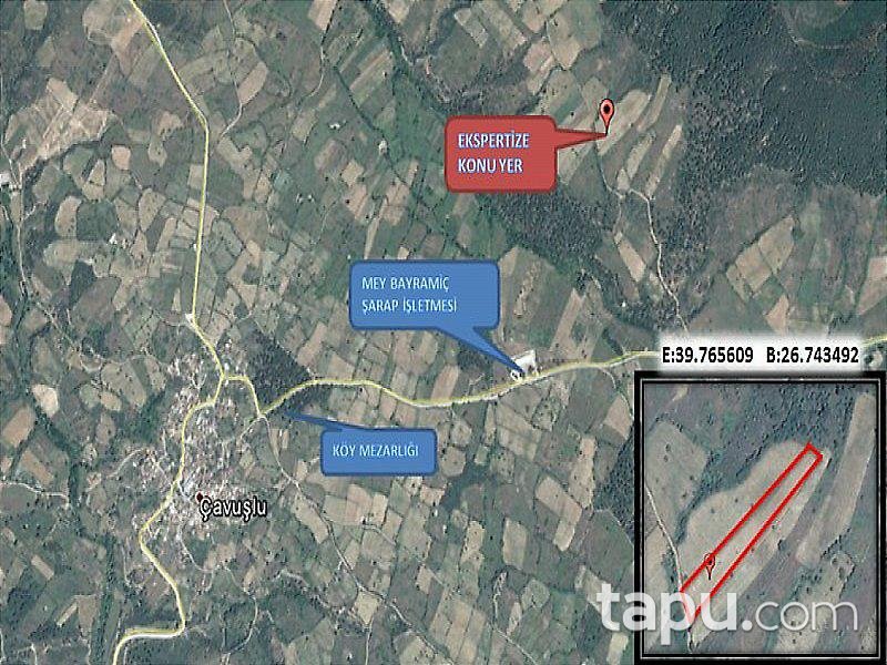 Çanakkale Bayramiç'te 7 Dönüm Bağ