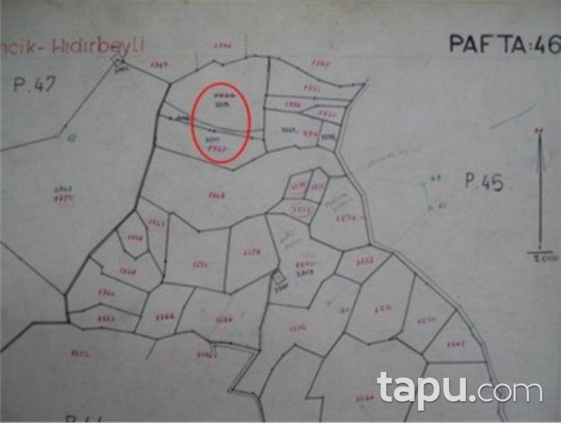 Aydın Germencik'te 3 Dönüm Tarla