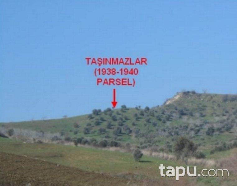 Aydın Germencik'te 3 Dönüm Tarla