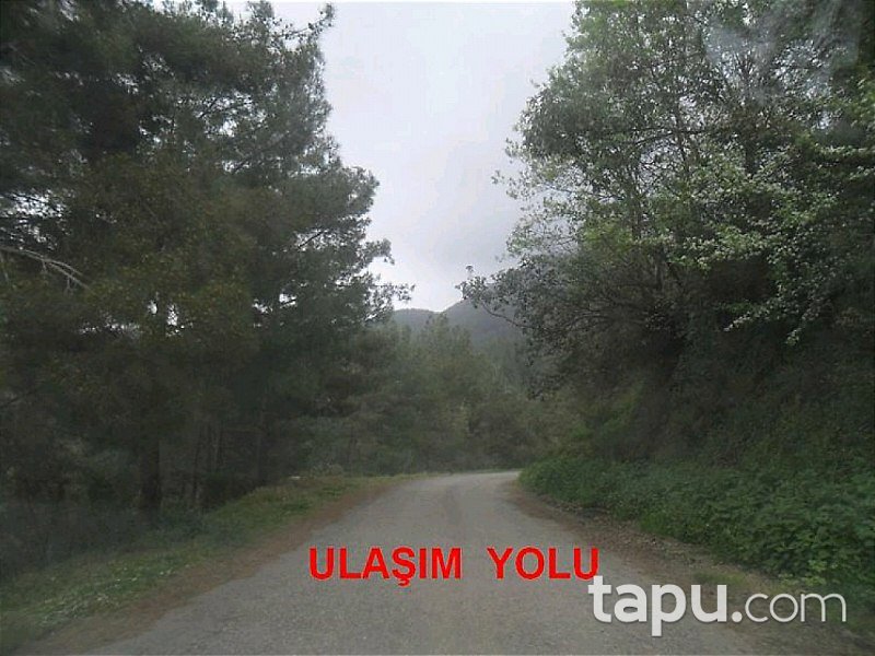 Antalya Gazipaşa-Doğanca Köyü'nde Tarla