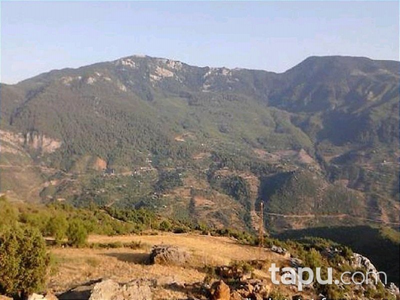 Antalya Gazipaşa-Doğanca Köyü'nde Tarla