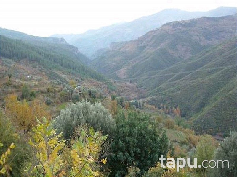 Antalya Gazipaşa-Doğanca Köyü'nde Tarla