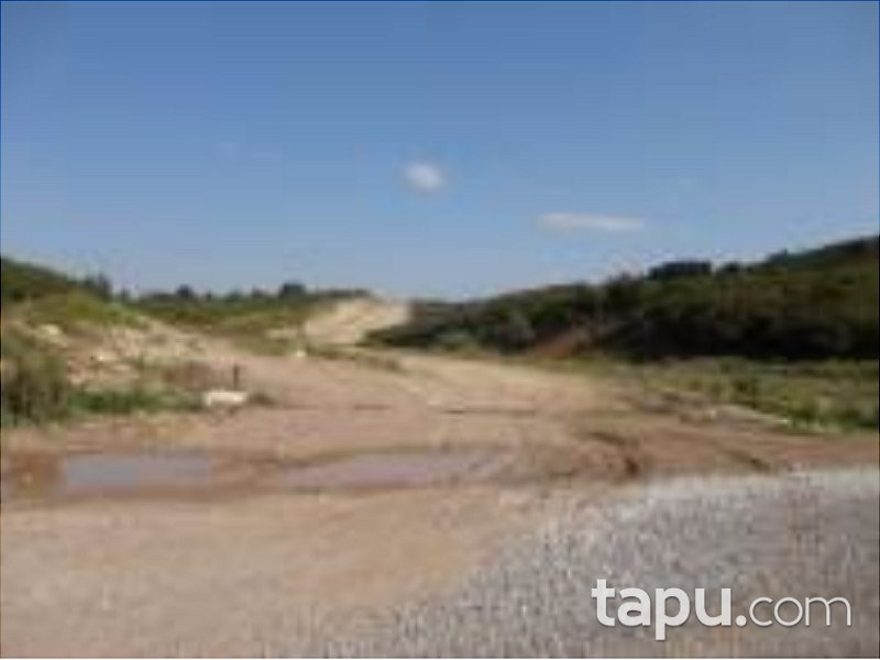 Sakarya Karasu'da 46.850 m² Tarla ve Fındık Bahçesi