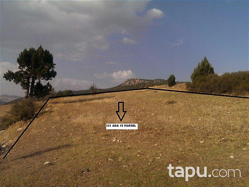 Muğla Seydikemer'de 4 Adet Ayrı Parsel Tarla