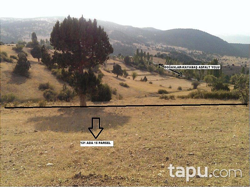 Muğla Seydikemer'de 4 Adet Ayrı Parsel Tarla