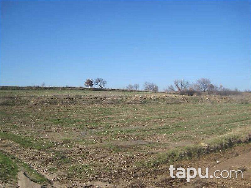 Edirne Meriç'te 17.567 m2 Tarla