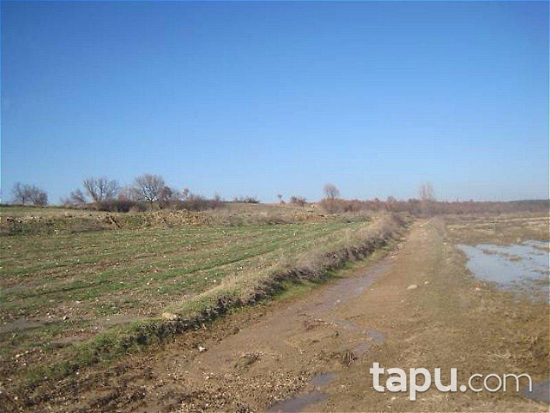 Edirne Meriç'te 17.567 m2 Tarla