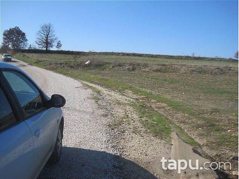 Edirne Meriç'te 17.567 m2 Tarla