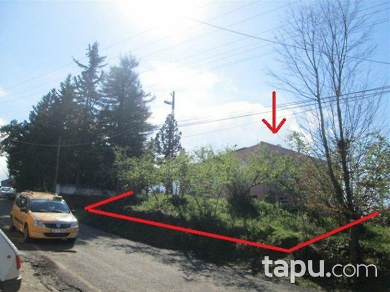 Giresun Eynesil'de Deniz Manzaralı Müstakil ev