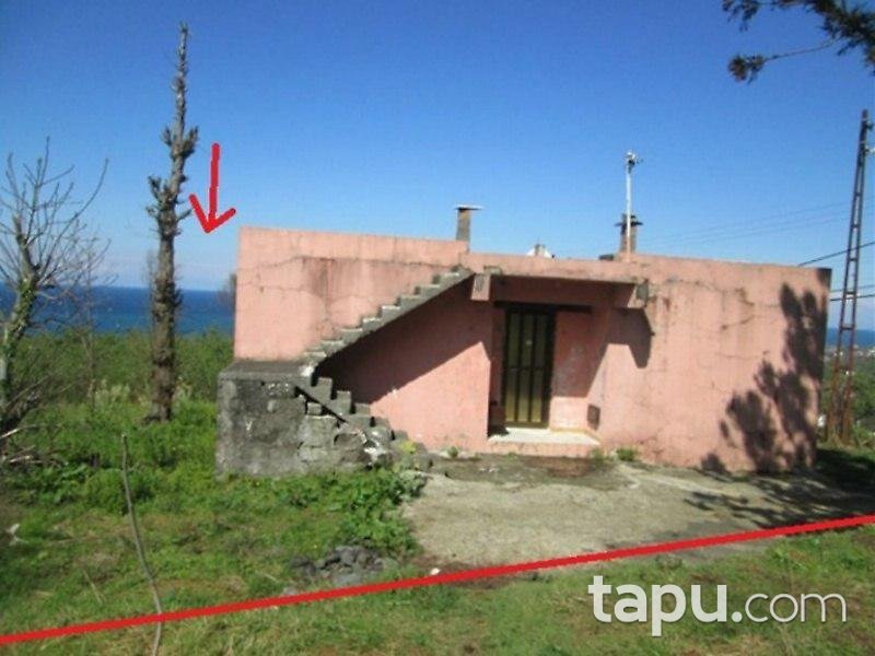 Giresun Eynesil'de Deniz Manzaralı Müstakil ev