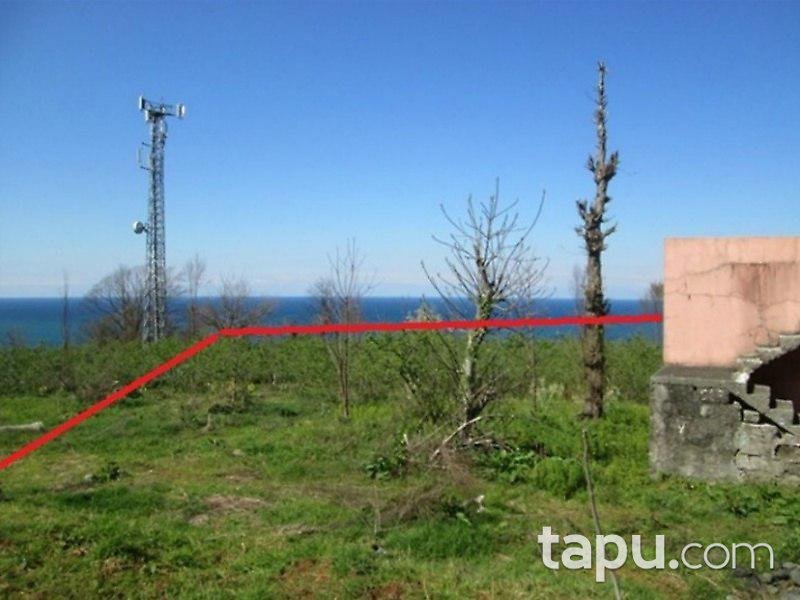 Giresun Eynesil'de Deniz Manzaralı Müstakil ev