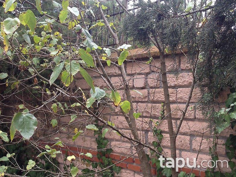 Bilecik Osmaneli'de Çiftlik