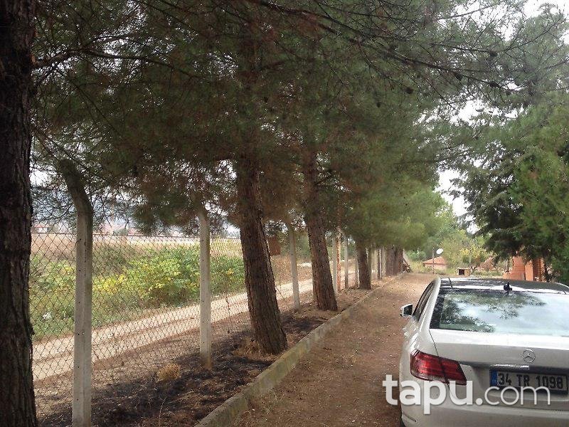 Bilecik Osmaneli'de Çiftlik