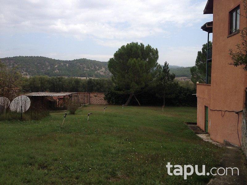 Bilecik Osmaneli'de Çiftlik