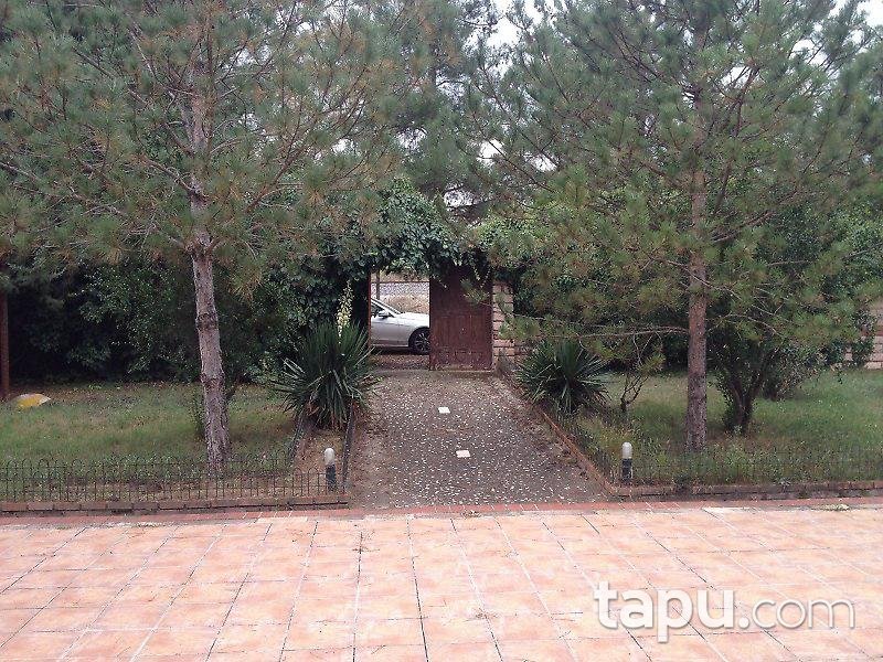 Bilecik Osmaneli'de Çiftlik