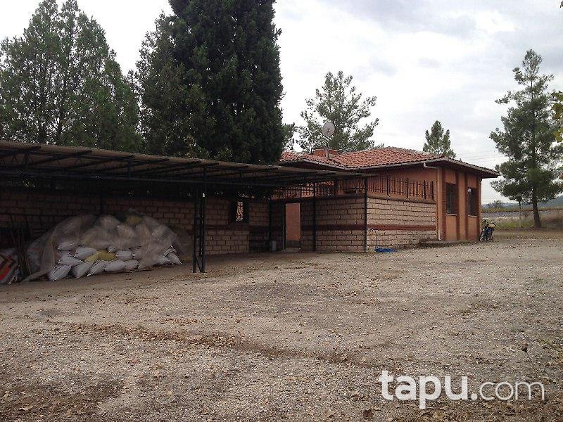 Bilecik Osmaneli'de Çiftlik