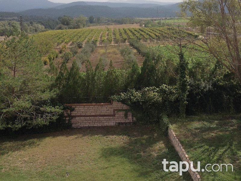 Bilecik Osmaneli'de Çiftlik