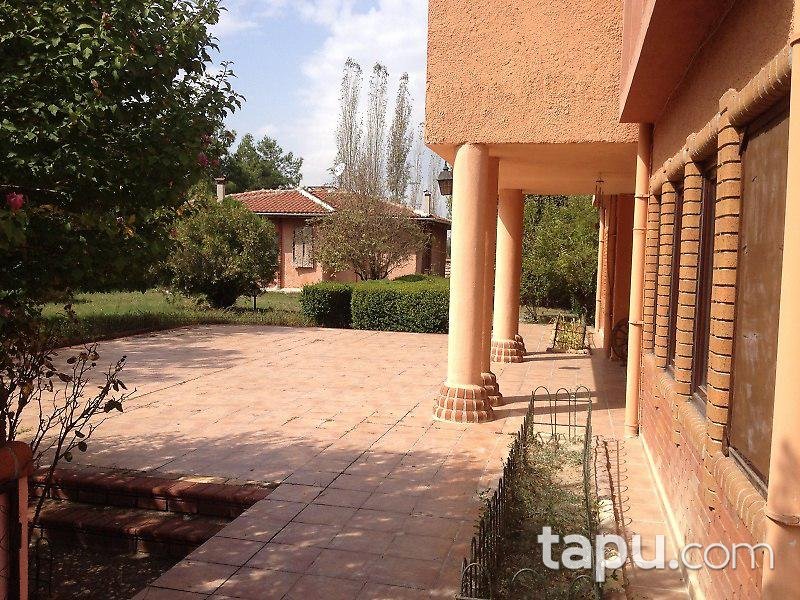 Bilecik Osmaneli'de Çiftlik