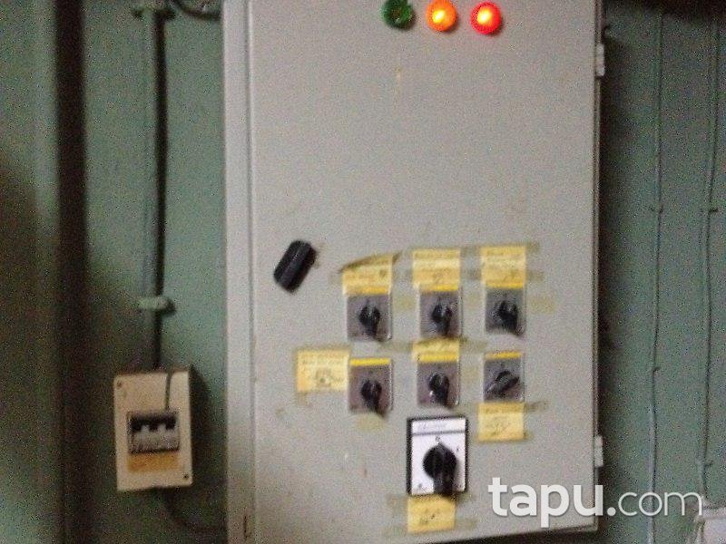 Bilecik Osmaneli'de Çiftlik