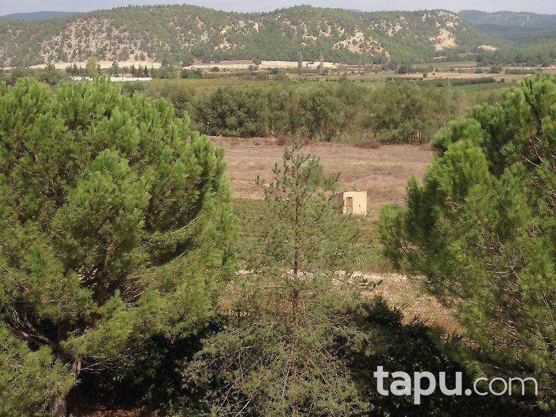 Bilecik Osmaneli'de Çiftlik