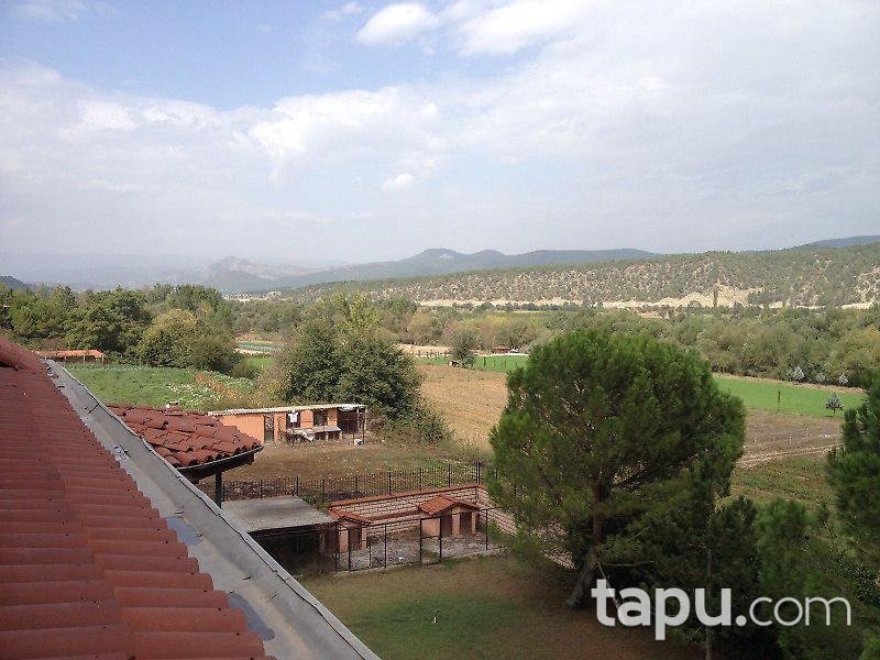 Bilecik Osmaneli'de Çiftlik