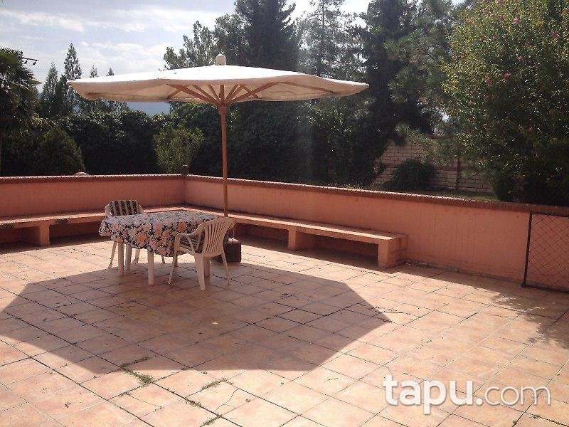 Bilecik Osmaneli'de Çiftlik