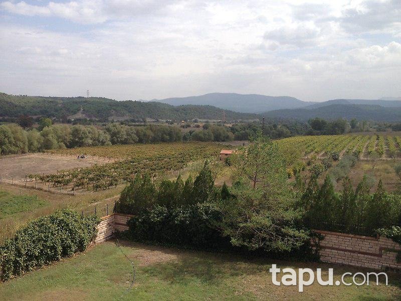 Bilecik Osmaneli'de Çiftlik