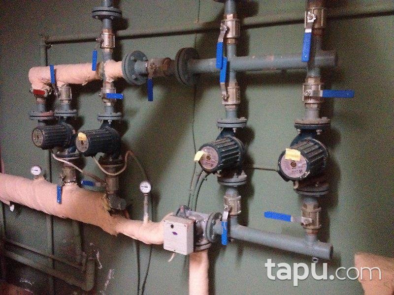 Bilecik Osmaneli'de Çiftlik