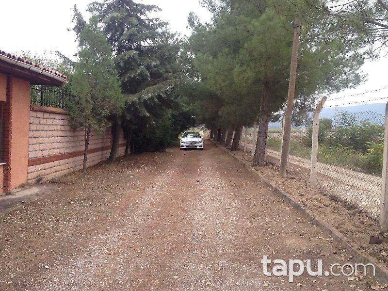 Bilecik Osmaneli'de Çiftlik