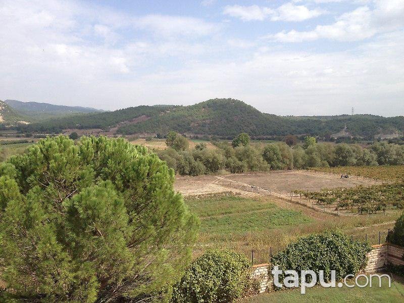 Bilecik Osmaneli'de Çiftlik