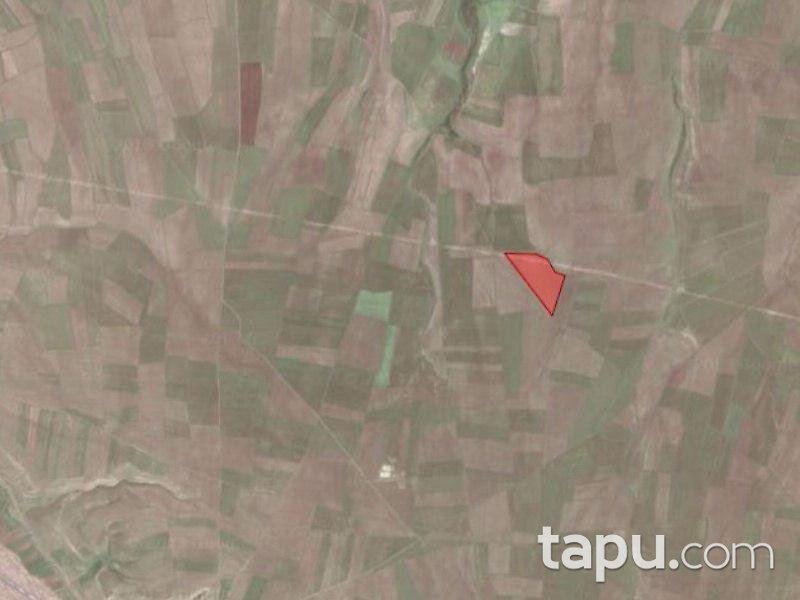 Erzurum Köprüköy'de 3 parsel tarla