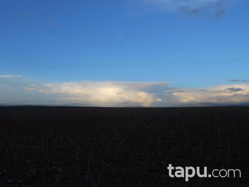 Erzurum Köprüköy'de 3 parsel tarla