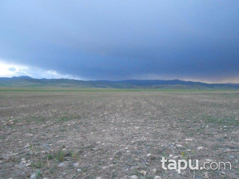 Erzurum Köprüköy'de 3 parsel tarla